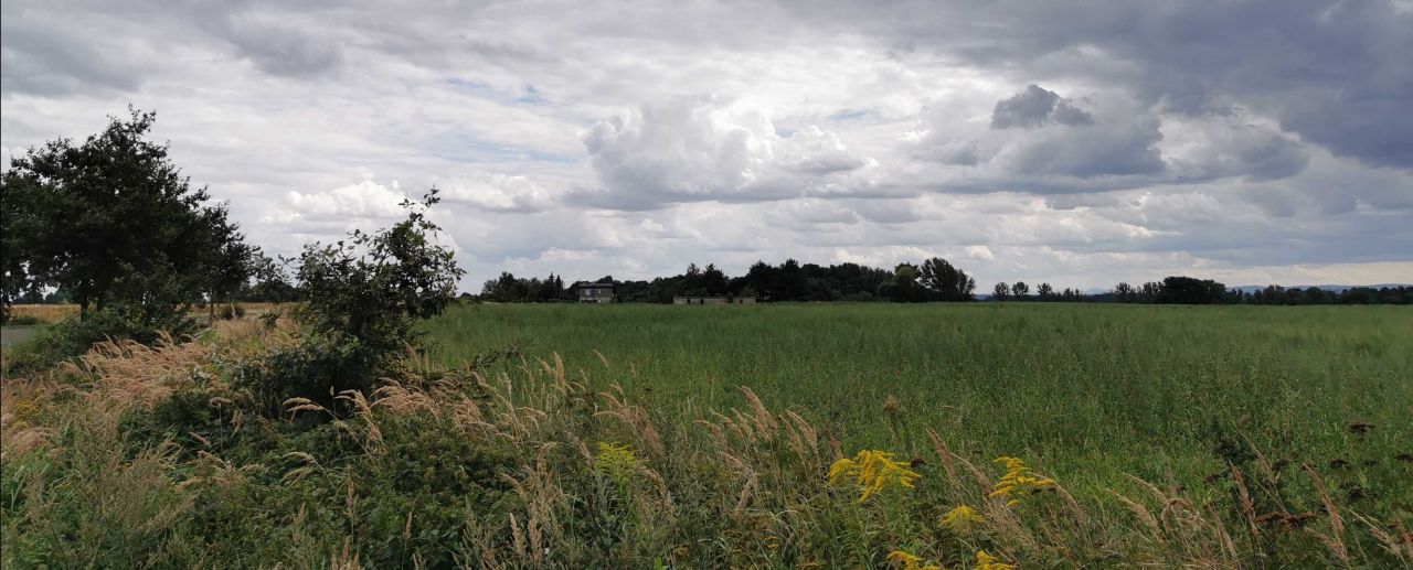 Działka budowlana Lisiec