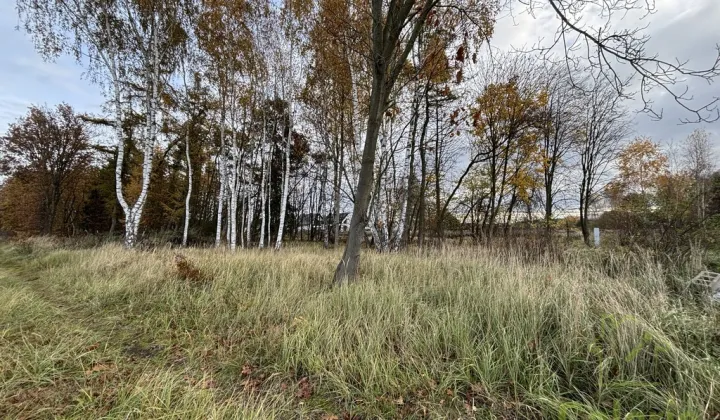 Działka budowlana Niedźwiedź