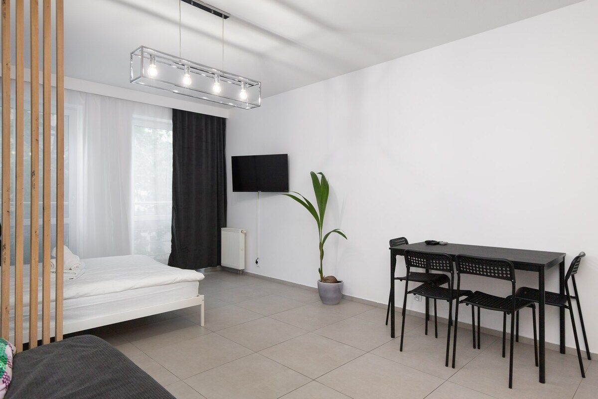 Mieszkanie 1-pokojowe Poznań Stare Miasto, ul. Piekary. Zdjęcie 8