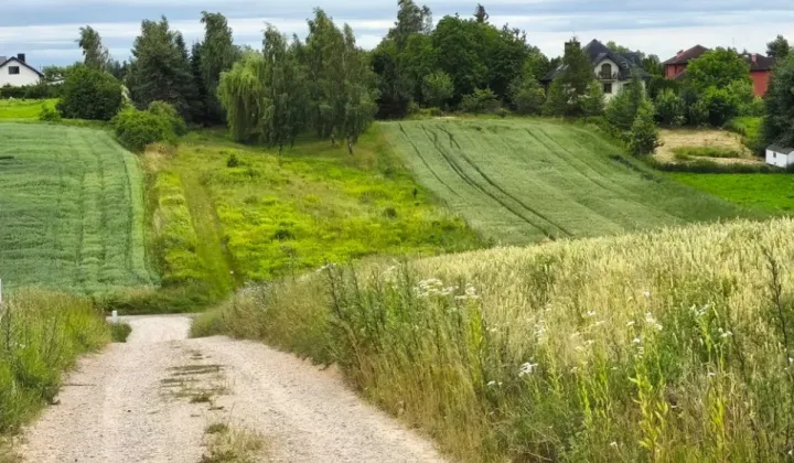 Działka budowlana Jakubowice Konińskie-Kolonia, ul. Kalinowa