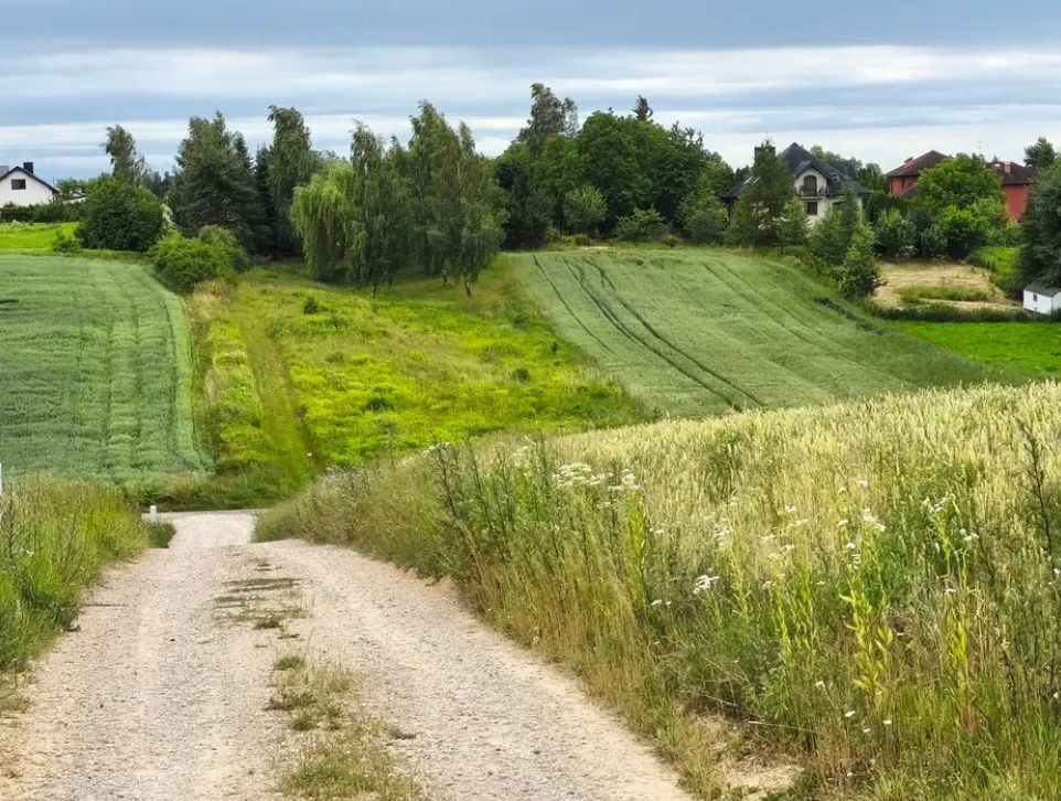 Działka budowlana Jakubowice Konińskie-Kolonia, ul. Kalinowa