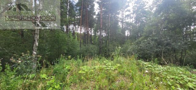 Działka inwestycyjna Sławków. Zdjęcie 6