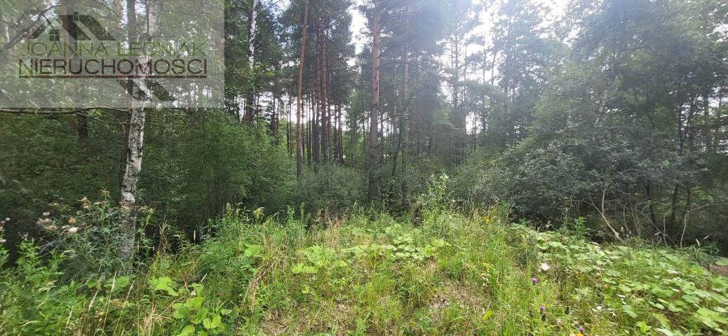 Działka inwestycyjna Sławków. Zdjęcie 6