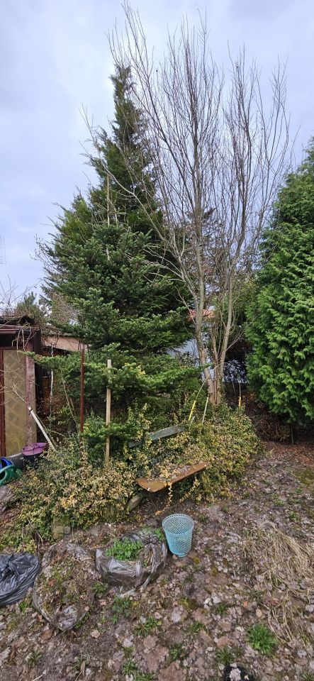 Działka rod Odrano-Wola, ul. Niedźwiedzia. Zdjęcie 7