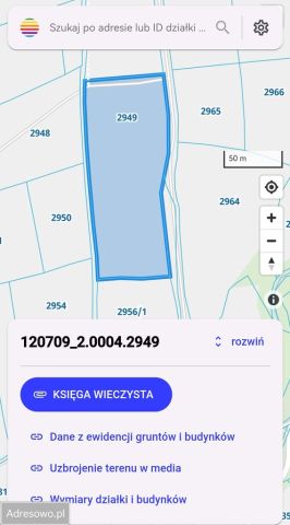 Działka rolna Lubomierz. Zdjęcie 1