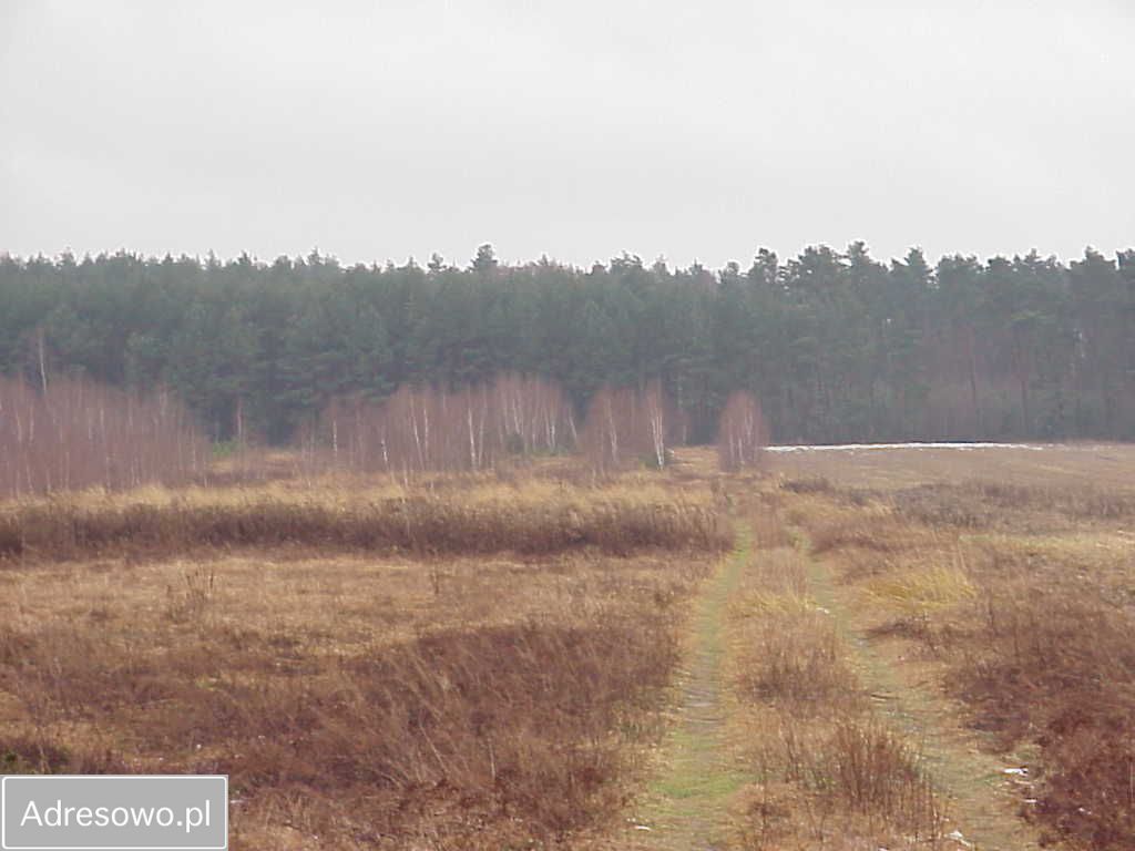Działka rolna Bielawa. Zdjęcie 4