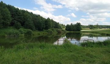 Działka rolno-budowlana Huta-Chojno