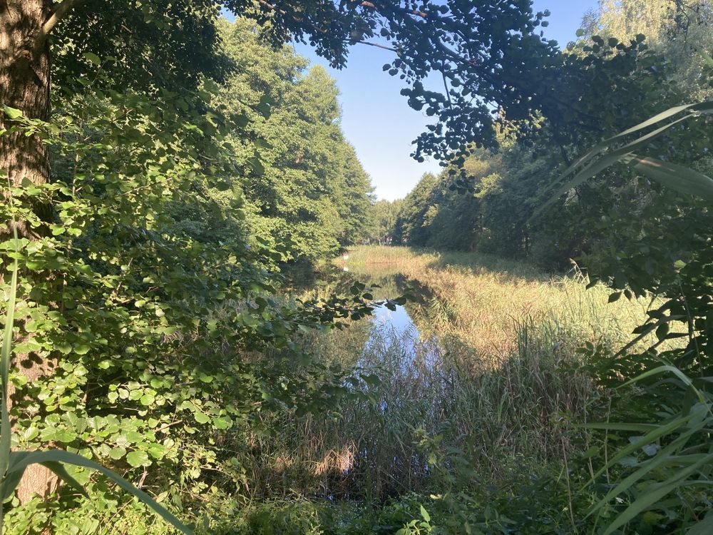 Działka rod Warszawa Bielany. Zdjęcie 6