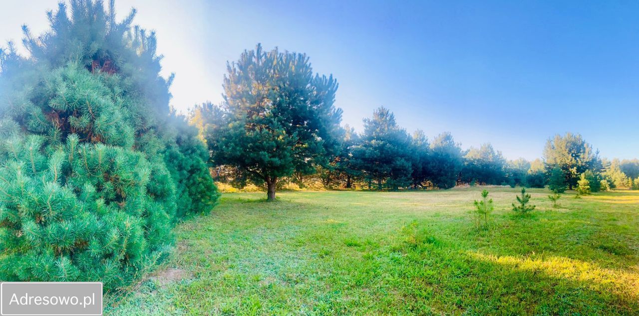 Działka budowlana Częstochowa Grabówka, ul. Gruszowa. Zdjęcie 10