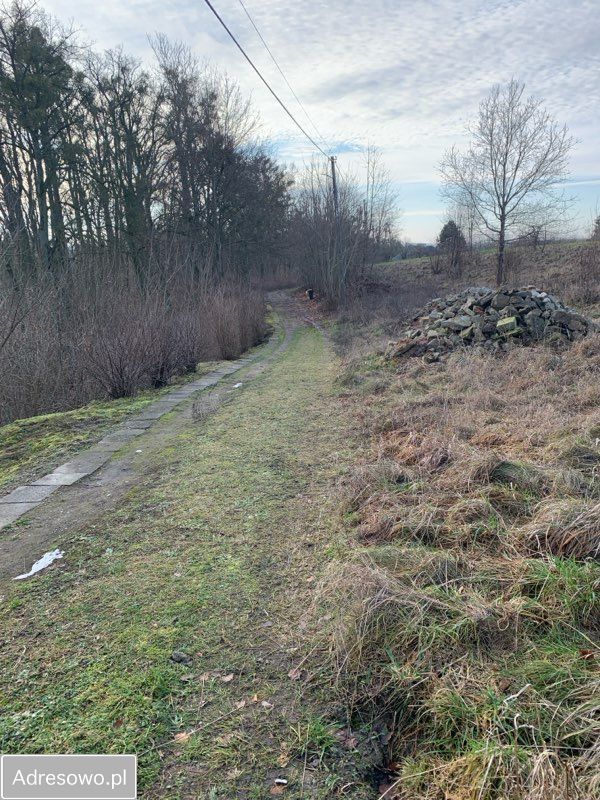 Działka rolno-budowlana Głotowo. Zdjęcie 5