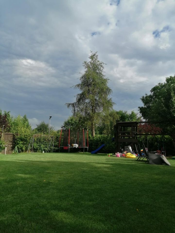 Działka rod Chorzów Maciejkowice, ul. Michałkowicka. Zdjęcie 3