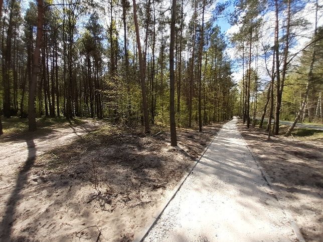 Działka leśna Obrowo