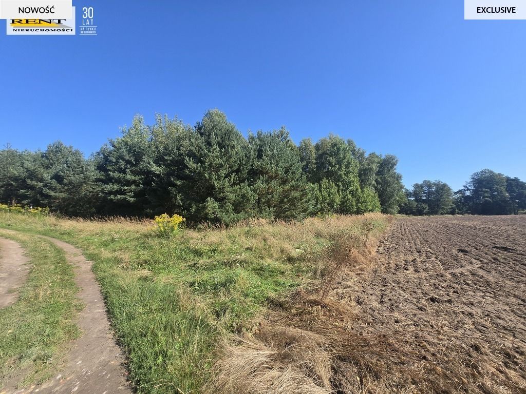 Działka rekreacyjna Chłopowo. Zdjęcie 3