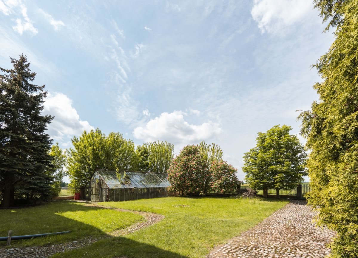 dom wolnostojący, 12 pokoi Tłuste. Zdjęcie 5