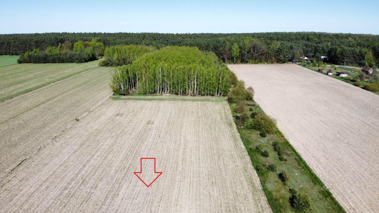 Działka rekreacyjna Jędrzejewo. Zdjęcie 2