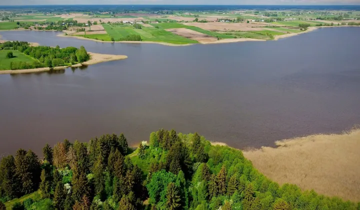 Działka siedliskowa Orzechówka