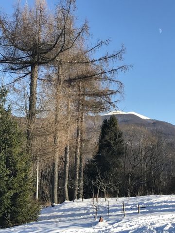 Działka rolno-budowlana Strzebowiska. Zdjęcie 1
