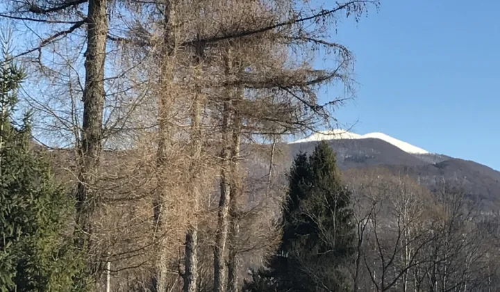 Działka rolno-budowlana Strzebowiska