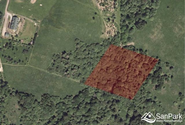 Działka rolna Krzywe. Zdjęcie 12