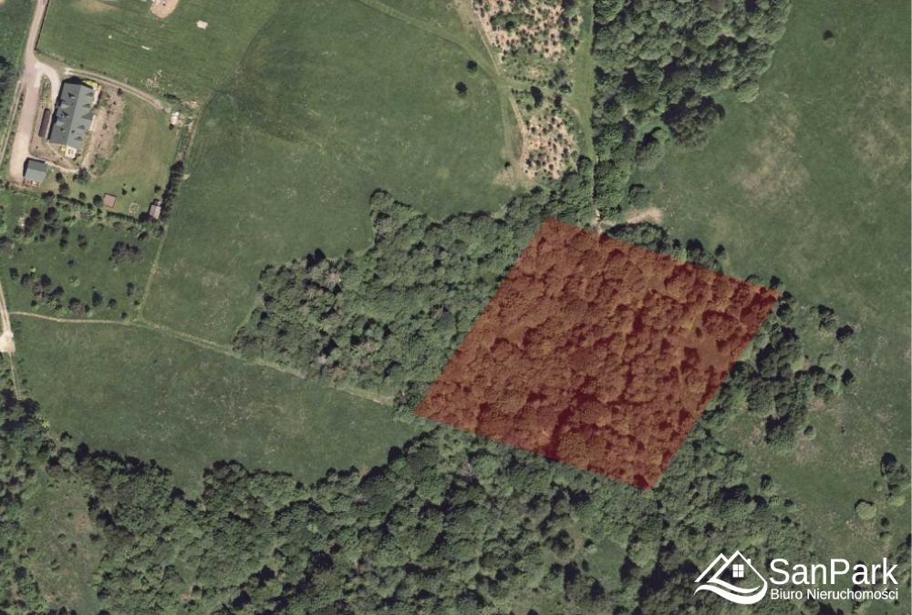 Działka rolna Krzywe. Zdjęcie 12