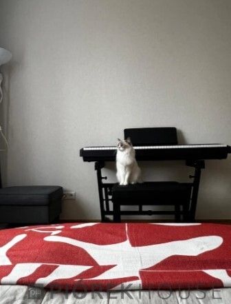 Mieszkanie 3-pokojowe Warszawa Mokotów, ul. Czerska. Zdjęcie 7