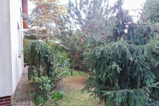 dom wolnostojący, 4 pokoje Szczecin Gumieńce. Zdjęcie 33