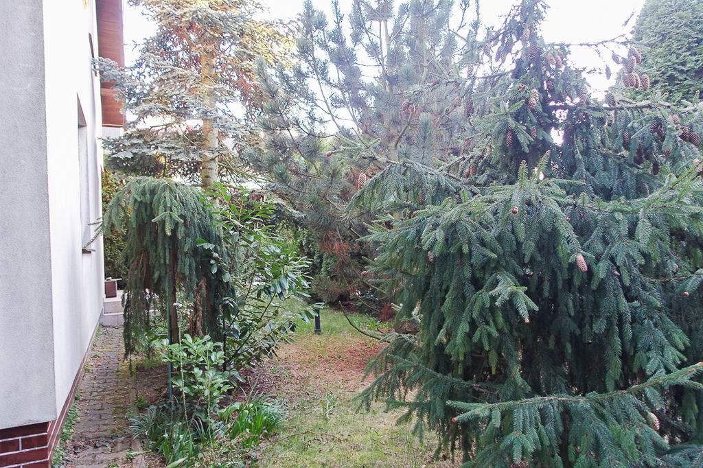 dom wolnostojący, 4 pokoje Szczecin Gumieńce. Zdjęcie 33