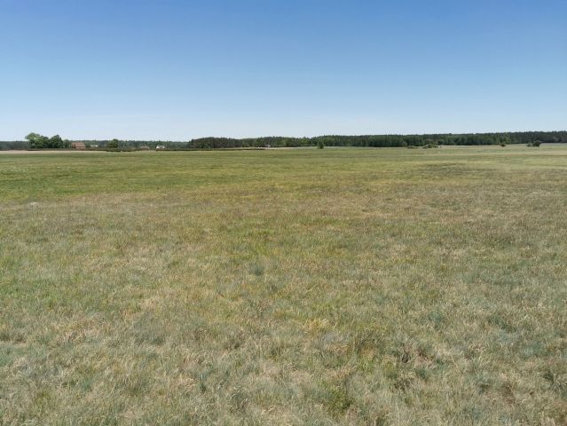 Działka rolna Święta. Zdjęcie 14