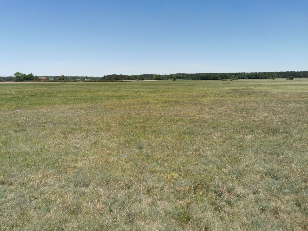 Działka rolna Święta. Zdjęcie 14