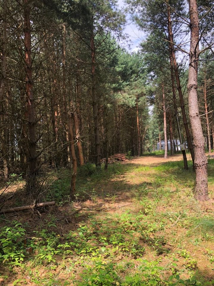 Działka rekreacyjna Życiny. Zdjęcie 8