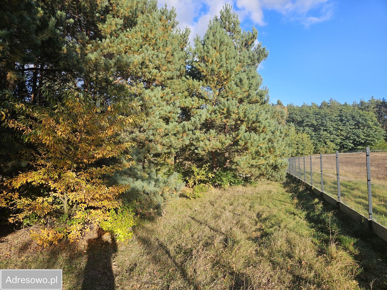 Działka budowlana Bechcice-Wieś. Zdjęcie 4