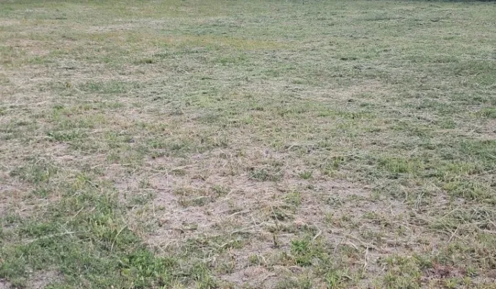 Działka budowlana Leszczydół-Nowiny, ul. Wspólna