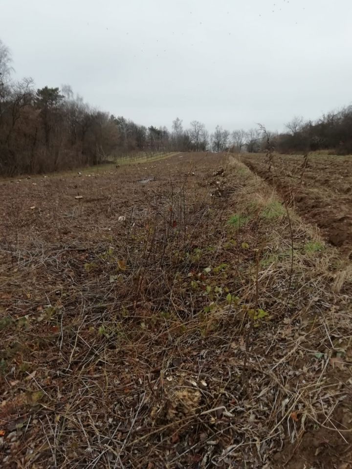 Działka budowlana Dziurów. Zdjęcie 2