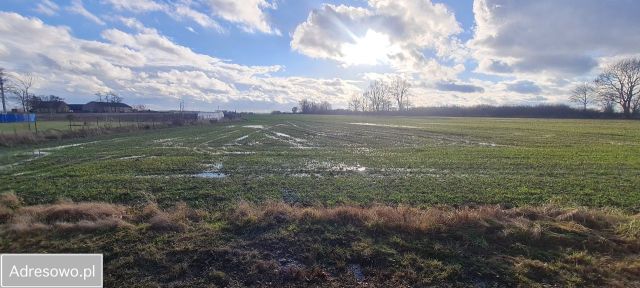 Działka rolno-budowlana Lewkowiec. Zdjęcie 1