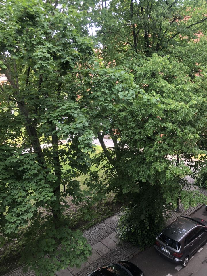 Mieszkanie 2-pokojowe Gdańsk Stare Przedmieście, ul. Lastadia. Zdjęcie 19