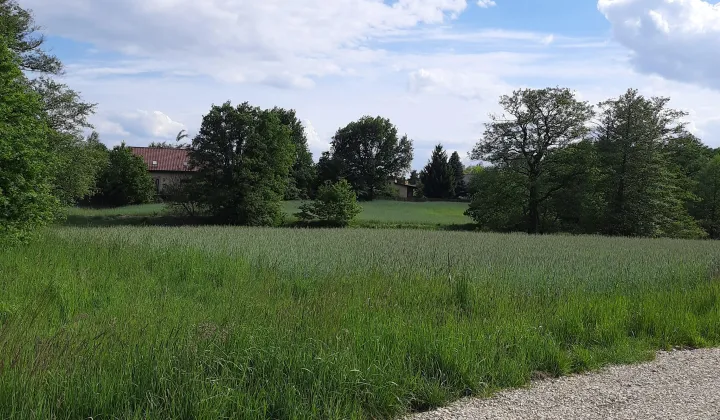 Działka budowlana Mysłowice Wesoła, ul. Ogrodowa