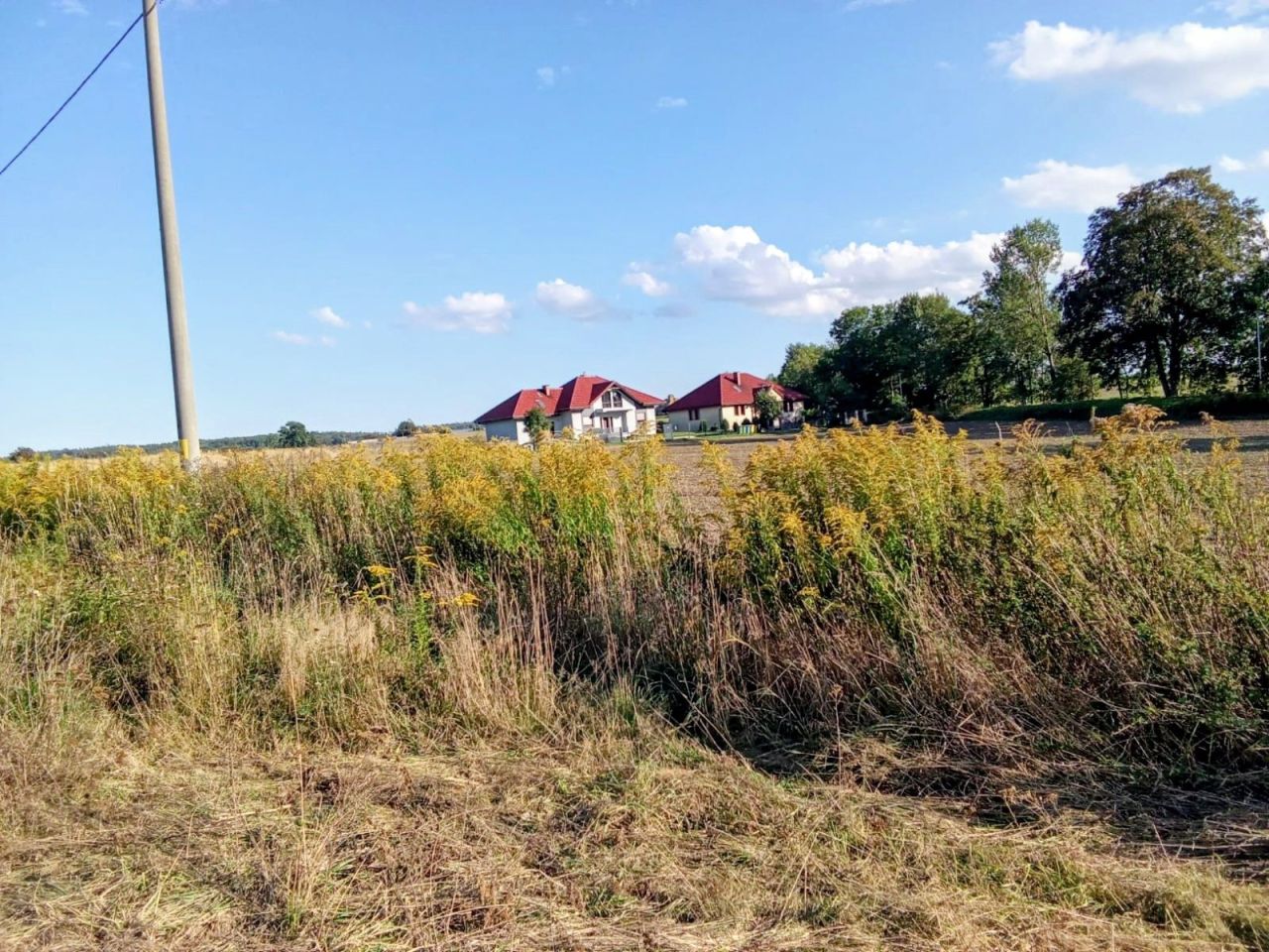 Działka budowlana Lubków