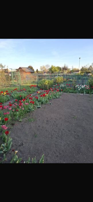 Działka rod Gdańsk Stogi, ul. Ugory. Zdjęcie 5