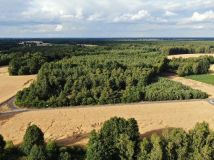 Działka budowlana Czarnybród. Zdjęcie 2