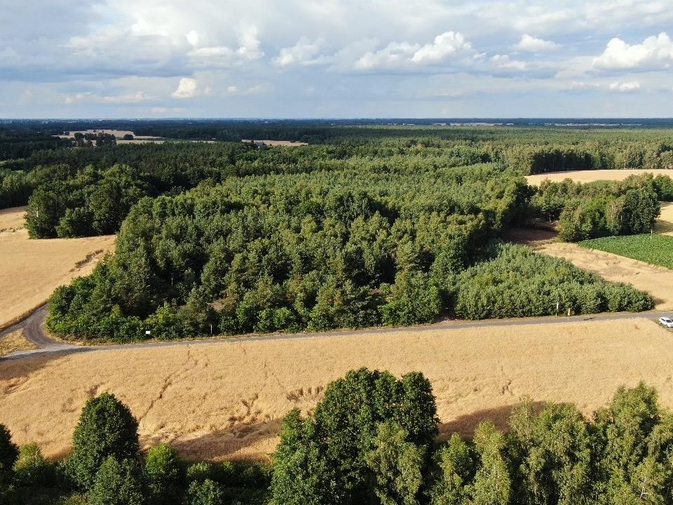 Działka budowlana Czarnybród. Zdjęcie 3