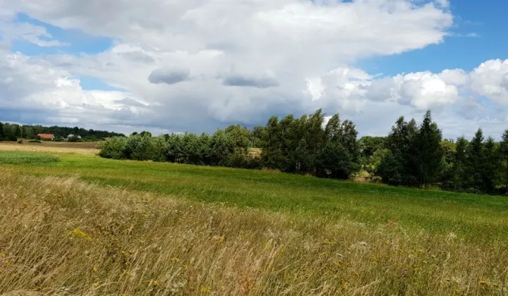 Działka siedliskowa Stręgiel