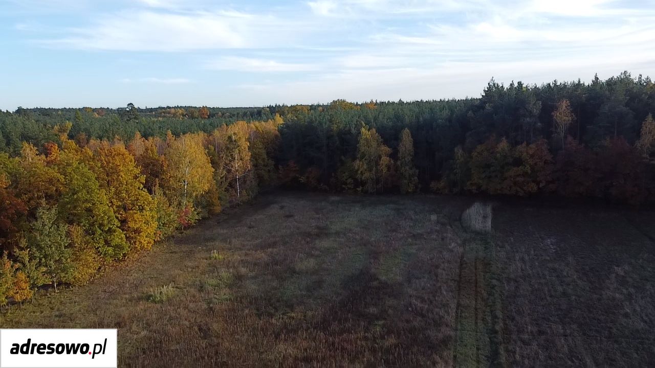 Działka budowlana Smólniki Osieckie. Zdjęcie 11