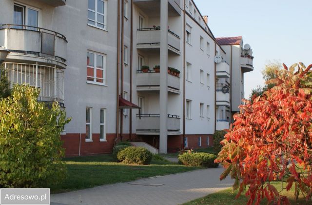 Mieszkanie 2-pokojowe Poznań Strzeszyn. Zdjęcie 1