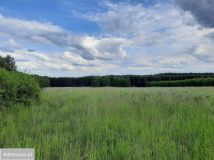 Działka rolna Suchowola. Zdjęcie 4