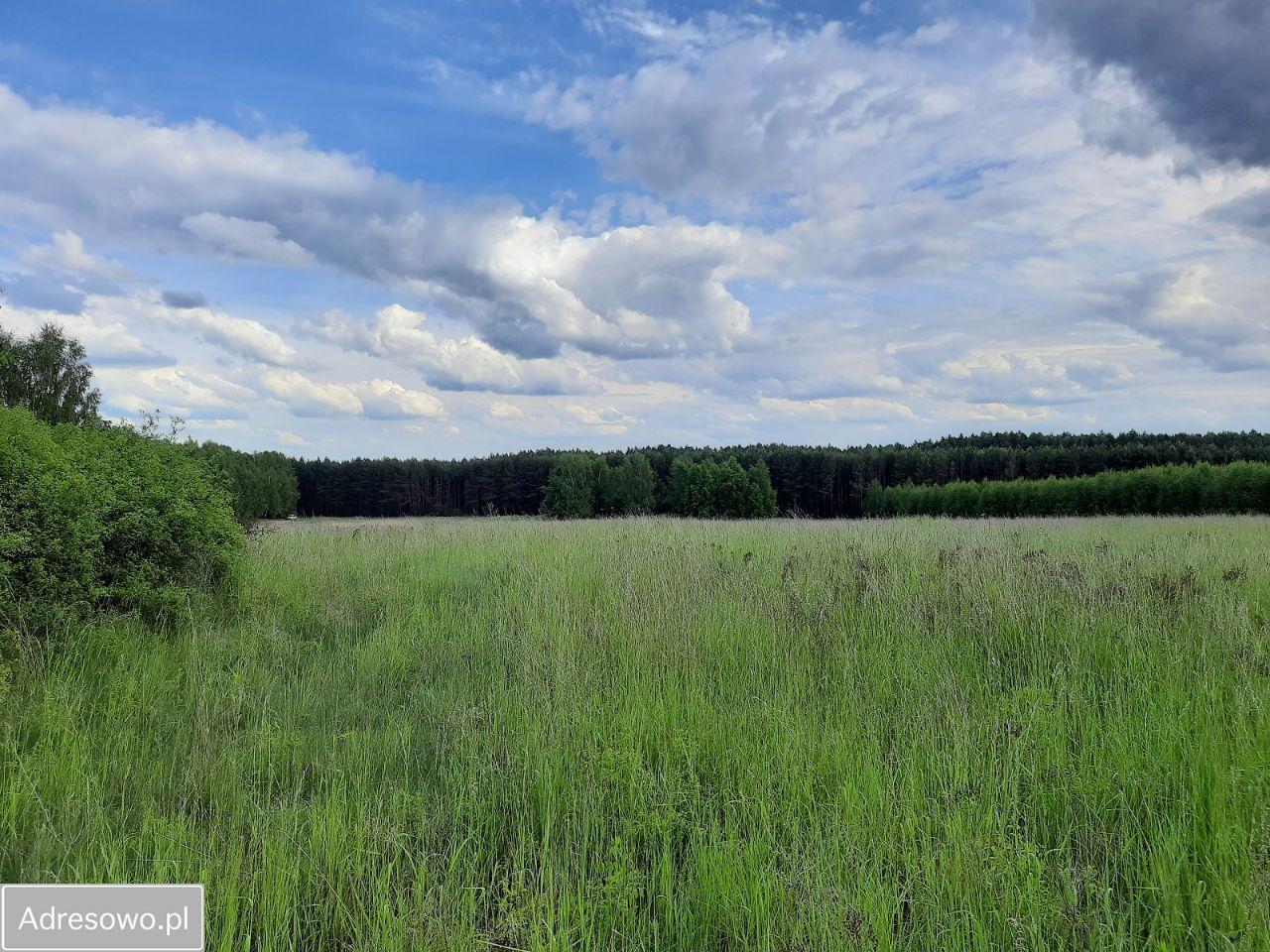 Działka rolna Suchowola. Zdjęcie 5