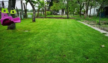 Działka rod Wrocław Psie Pole, ul. Kątowa