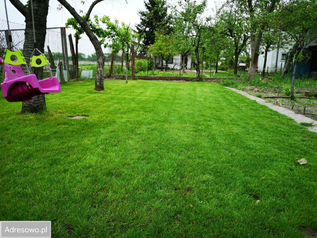 Działka rod Wrocław Psie Pole, ul. Kątowa. Zdjęcie 2