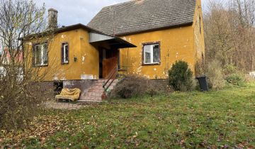 gospodarstwo Piersno