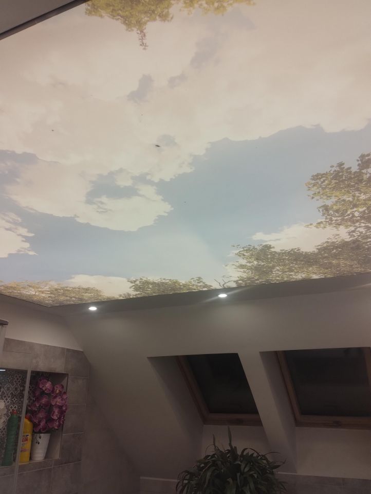 dom wolnostojący, 5 pokoi Tur Berlinek, ul. św. Stanisława Kostki. Zdjęcie 20