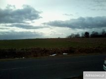 Działka rolno-budowlana Rejowiec Fabryczny, ul. Gabriela Narutowicza. Zdjęcie 2